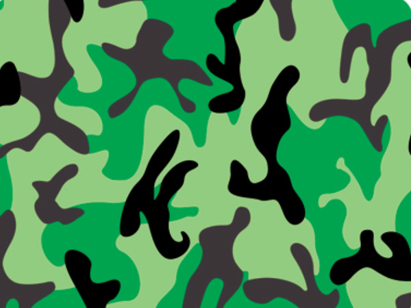  Army camouflage 15-0101